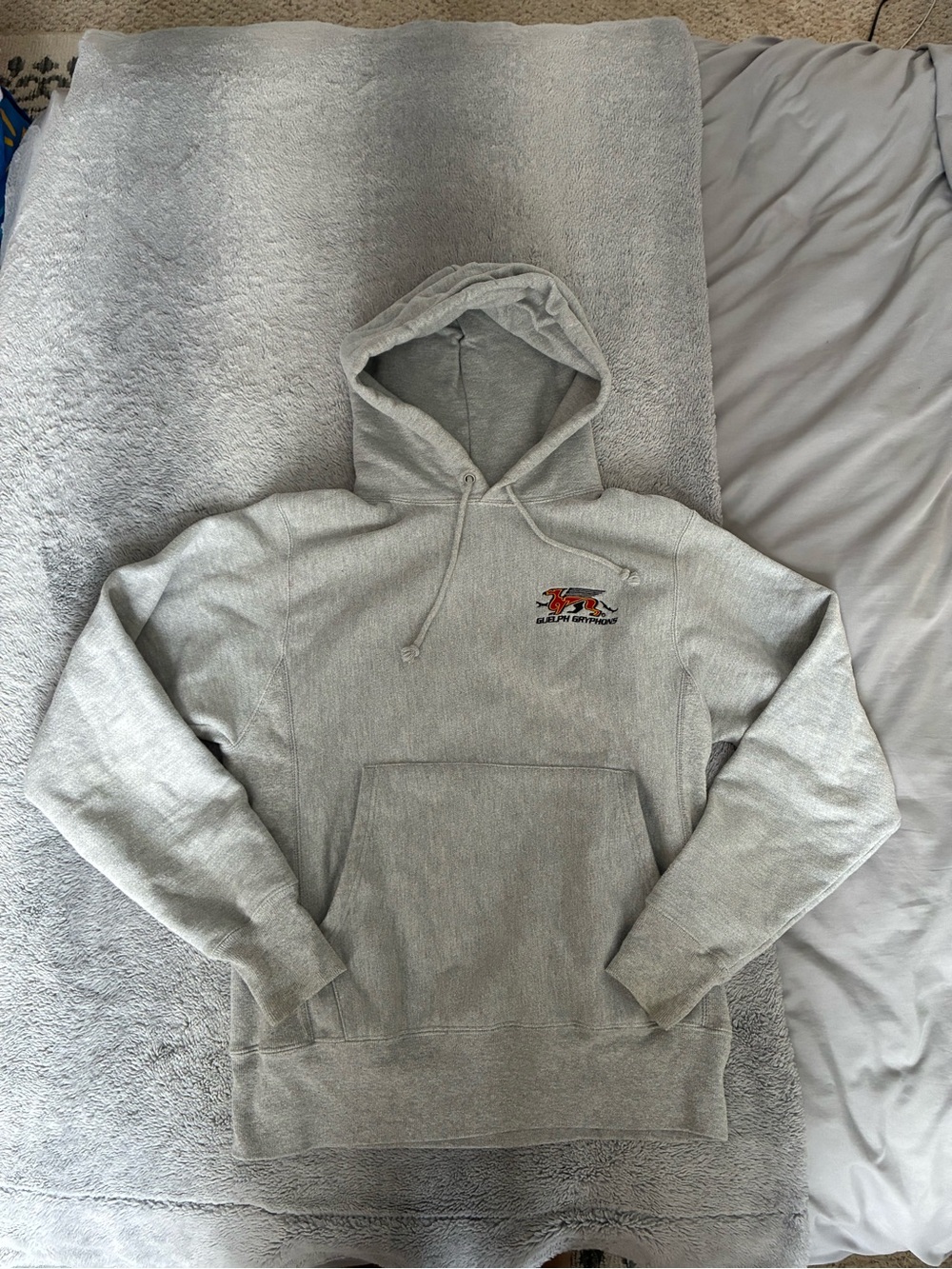 Gray Womenโs Champion Pullover Hoodie - The University of Guelph